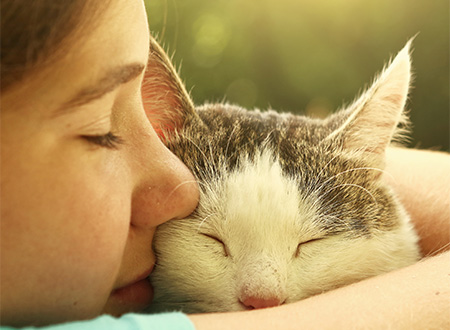 young girl hugs senior cat close-up portrait